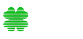WildTokyo Casino official website